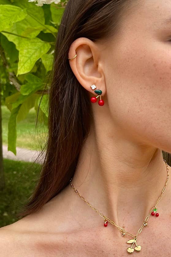 Stainless steel earrings 124AQ418