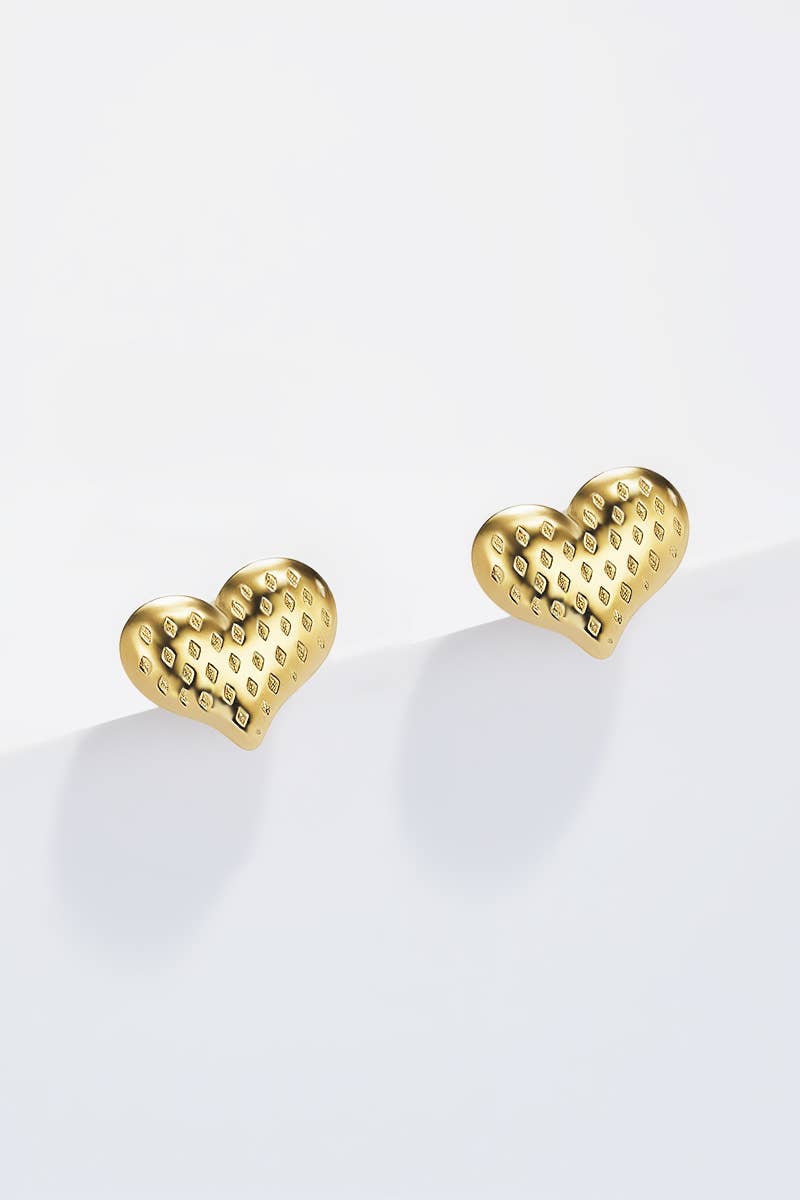 124RX157 stainless steel earrings