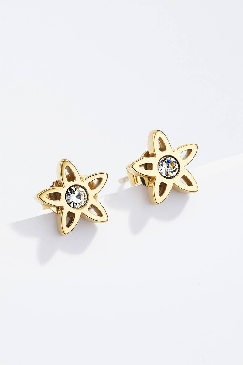 Stainless steel earrings 124RX139