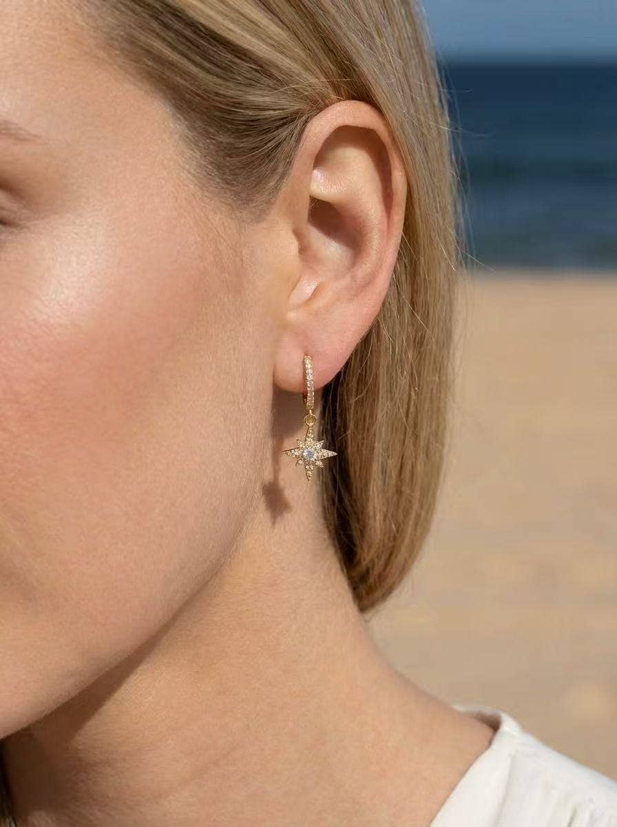 Stainless steel earrings 124AQ577