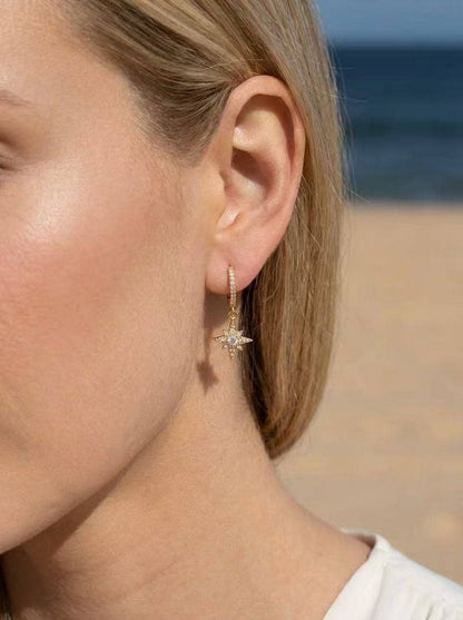 Stainless steel earrings 124AQ577