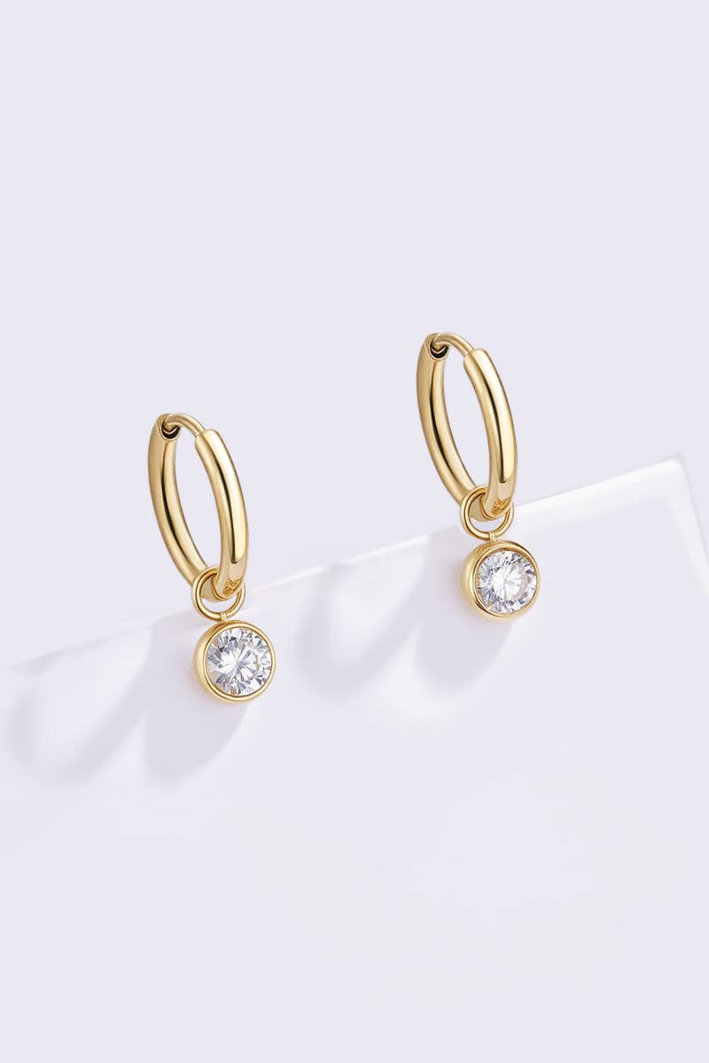 Stainless steel earrings 124AQ556