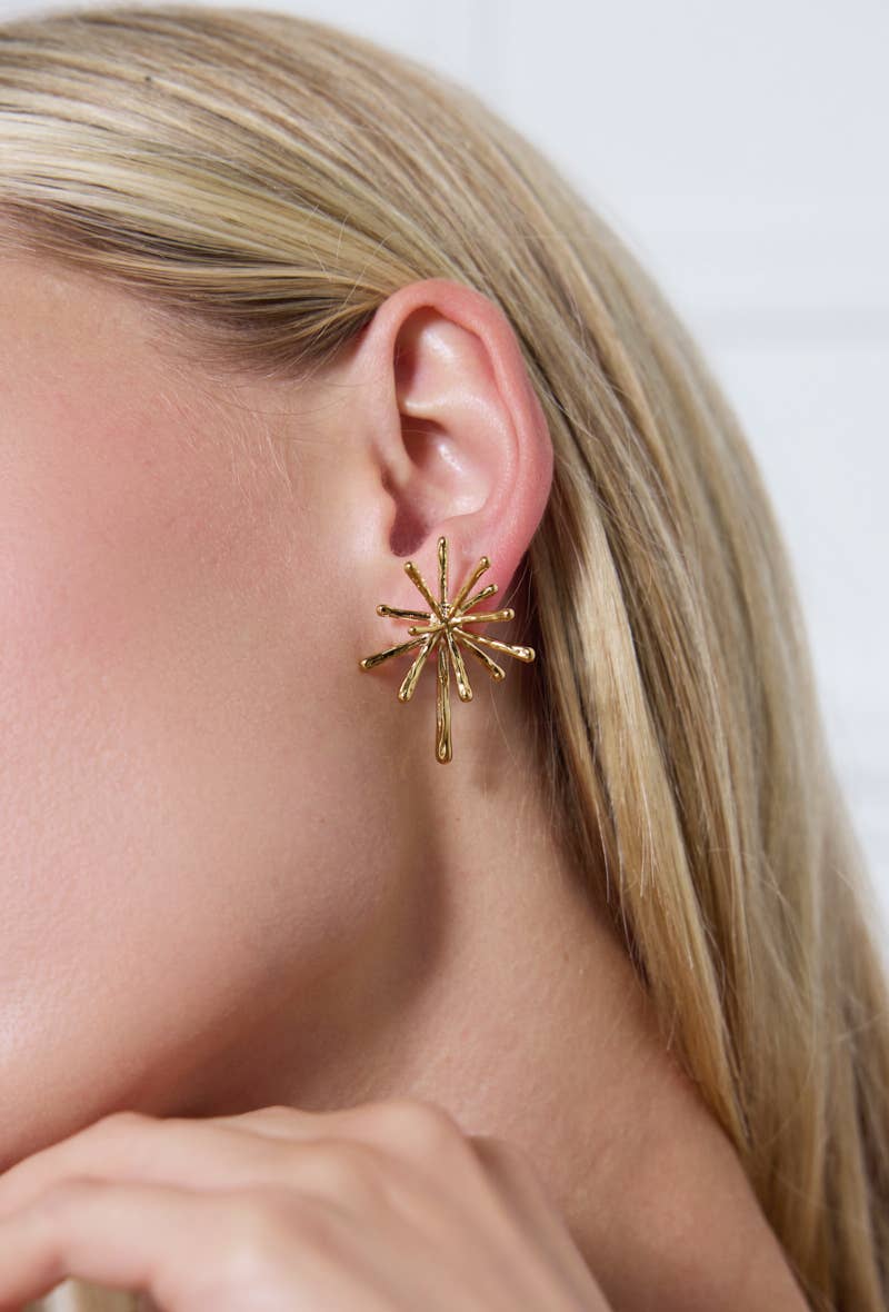 Boucles d'oreilles en acier inoxydable 124AQ258