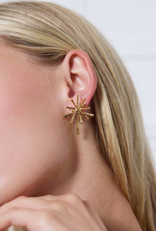 Boucles d'oreilles en acier inoxydable 124AQ258