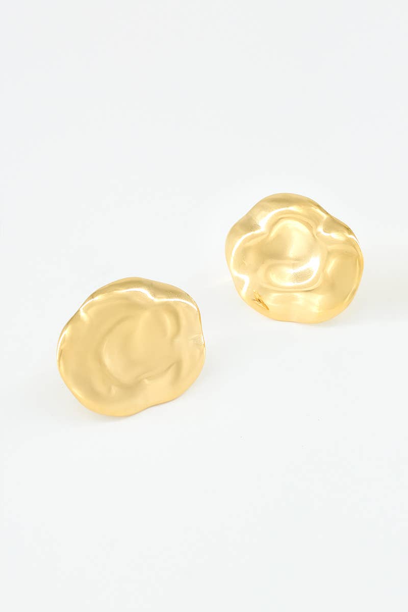 Stainless steel earrings 124YC78