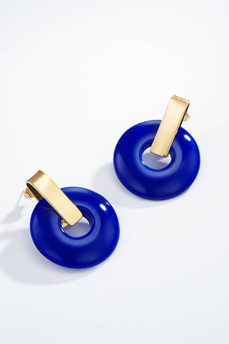 124CP04 stainless steel earrings