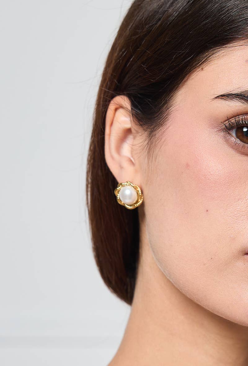 Stainless steel earrings 124AQ320