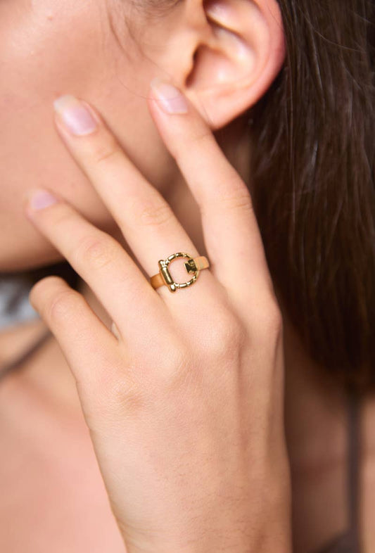 Bague en acier inoxydable 424YC63