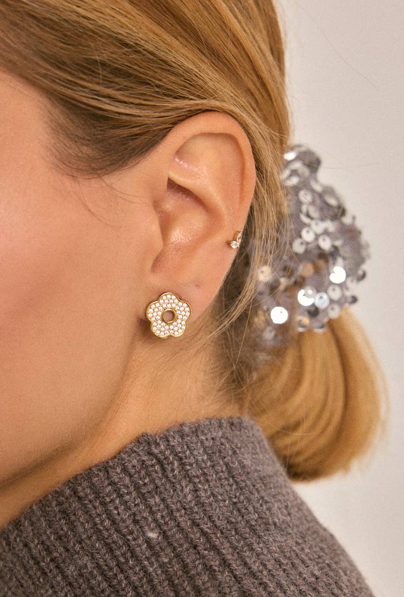 124RX224 stainless steel clip-on earrings