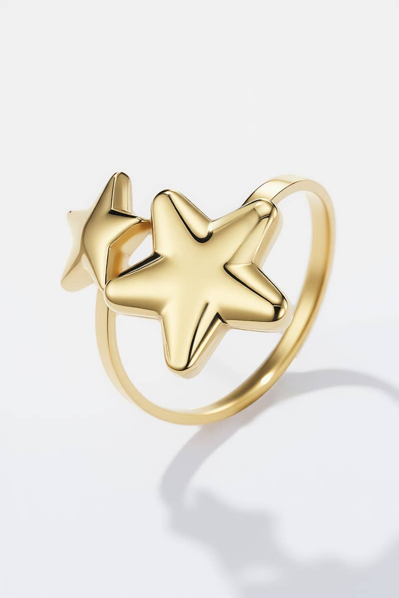 Bague en acier inoxydable 424RX214