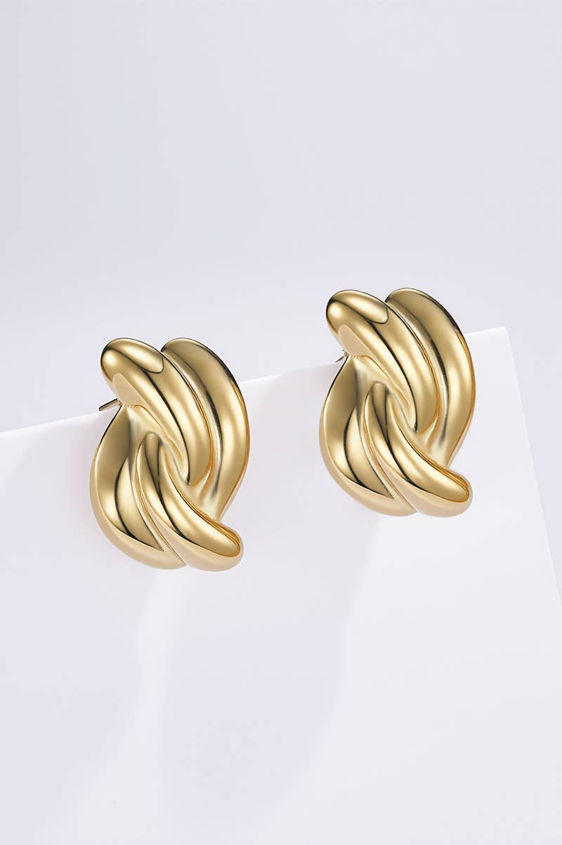 Stainless steel earrings 124AQ502