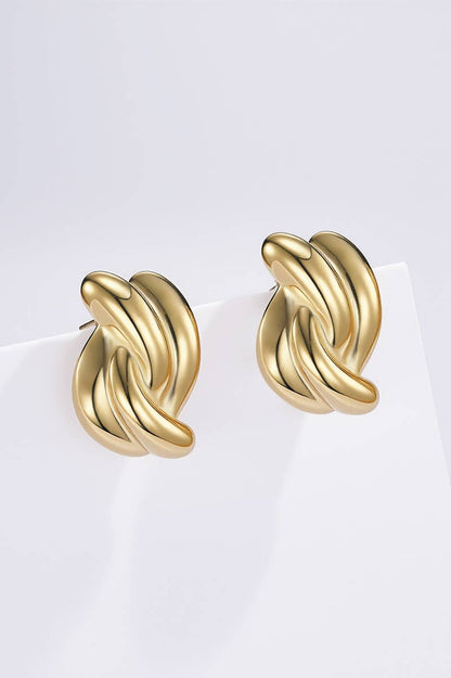 Stainless steel earrings 124AQ502
