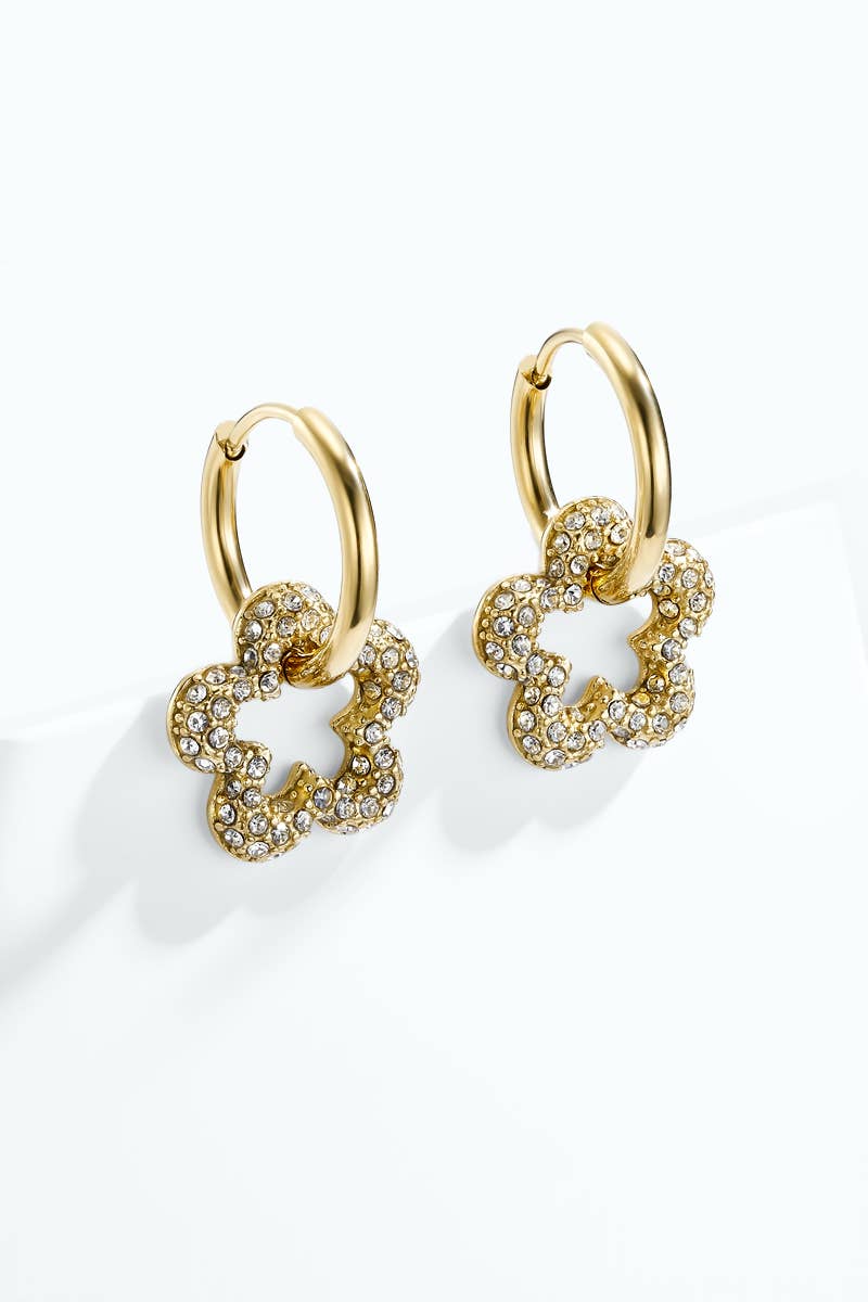 Stainless steel earrings 124YTG03