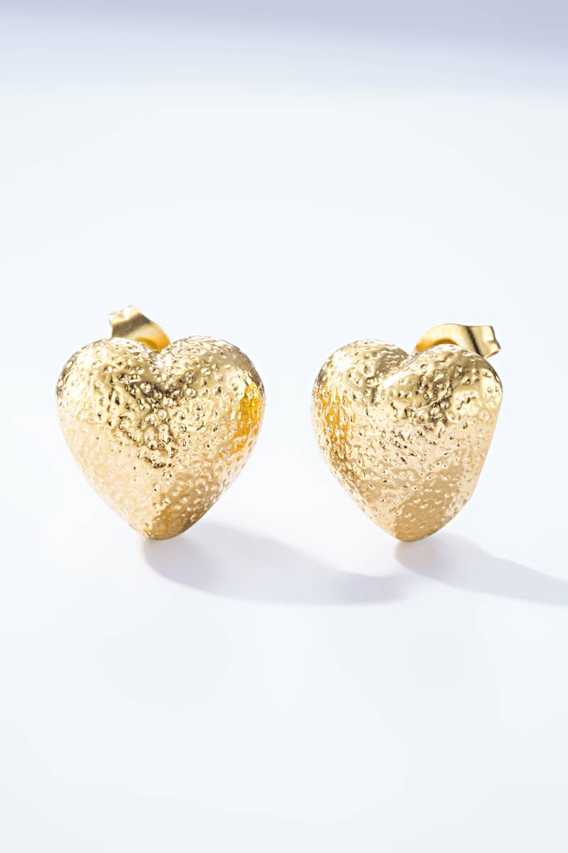 124CA04 stainless steel earrings