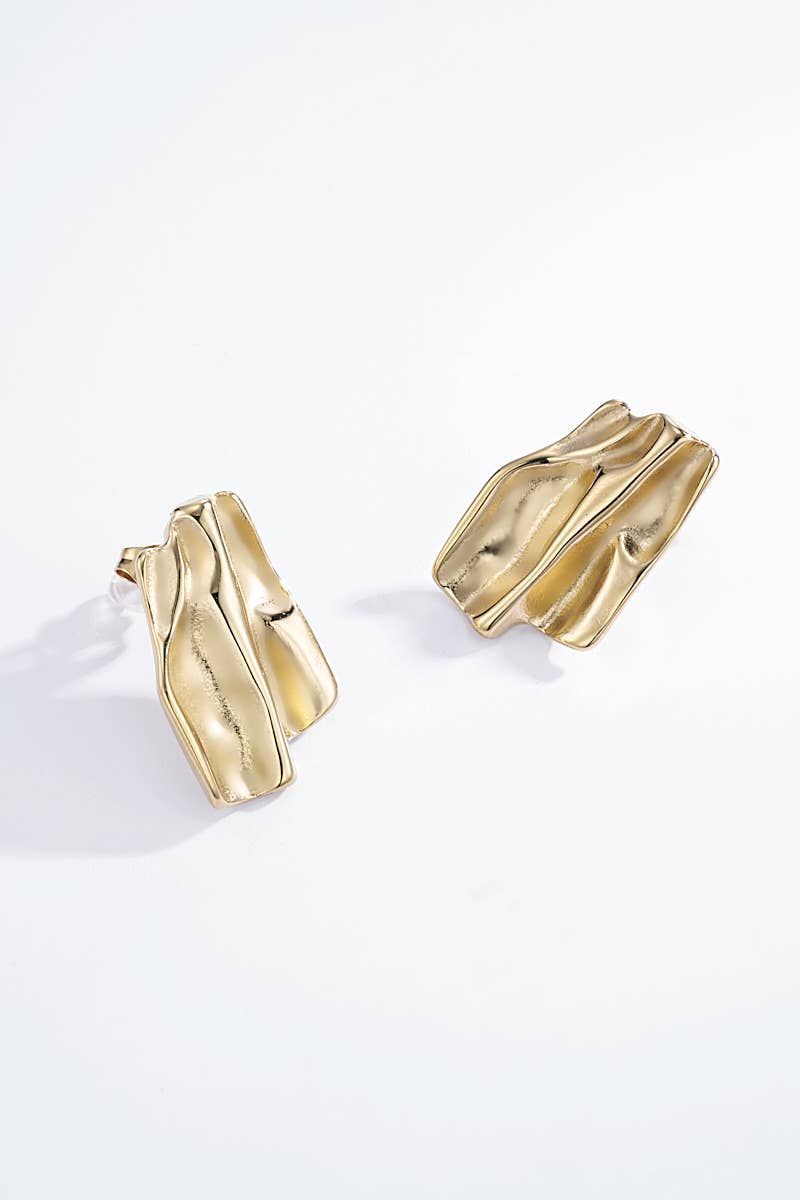 Stainless steel earrings 124DY31