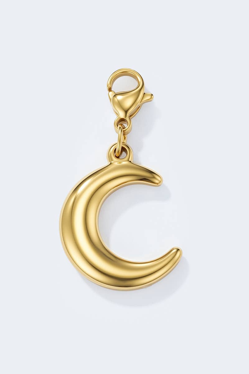 Charm breloque en acier inoxydable CHARM91