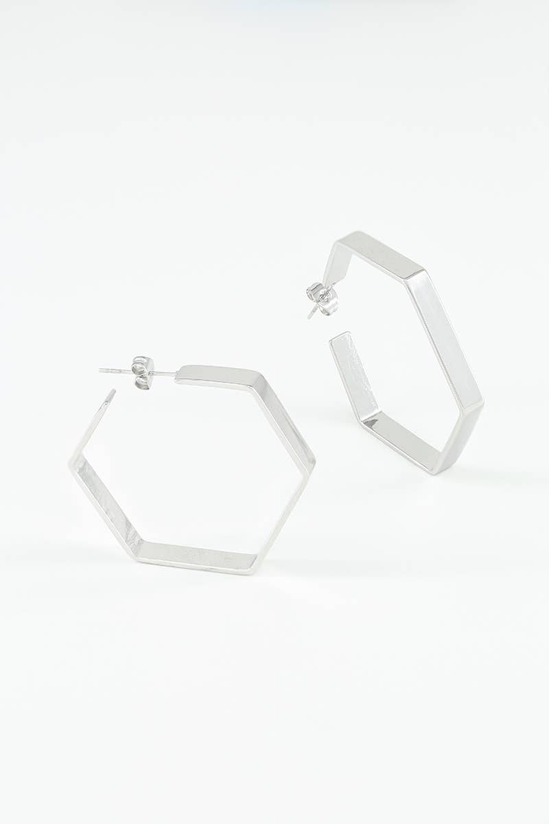 124RX99 stainless steel earrings