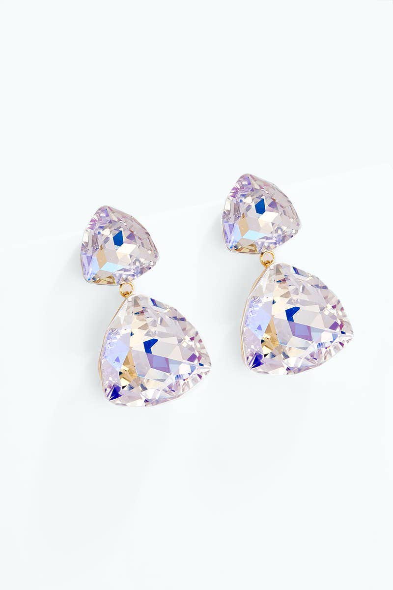 Stainless steel earrings 124AQ589