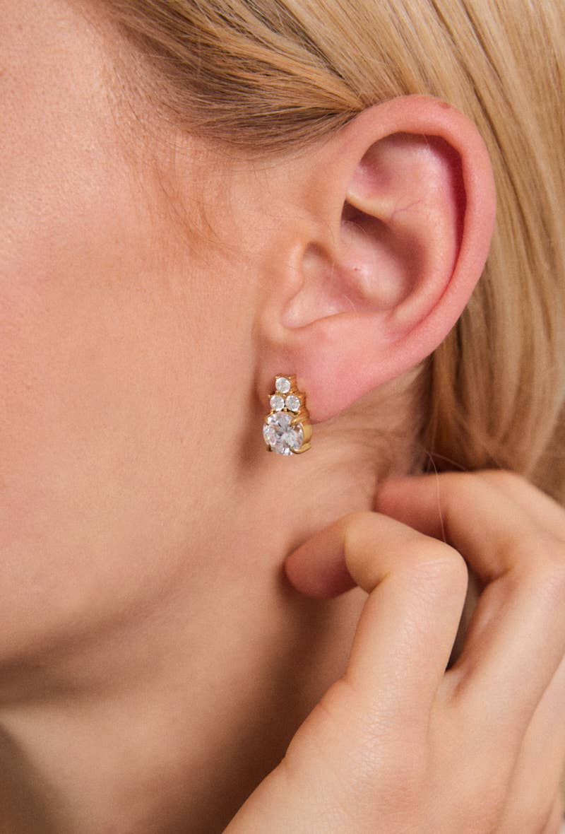 Boucles d'oreilles en acier inoxydable 124RX205