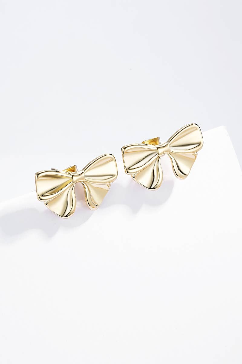 Stainless steel earrings 124AQ265