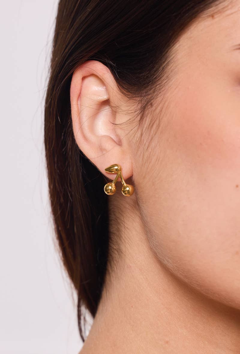 Stainless steel earrings 124AQ370