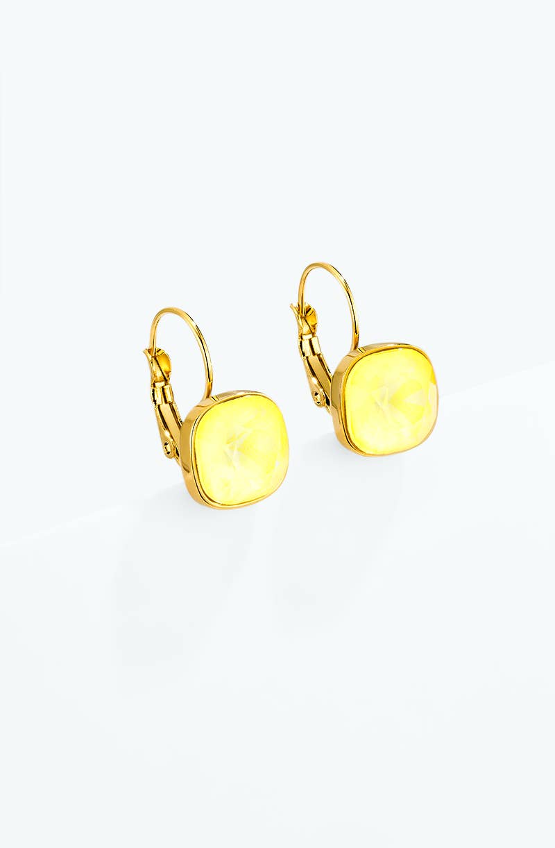 Boucles d'oreille en acier inoxydable 124AQ719