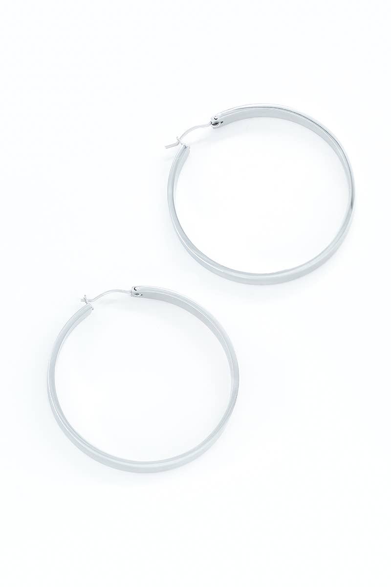 Stainless steel earrings 124AQ277