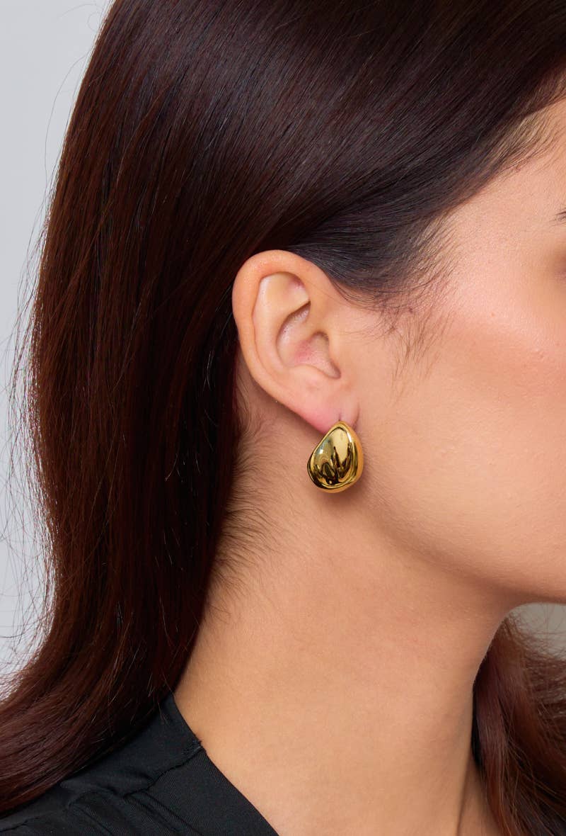 124AQ16 stainless steel drop earrings