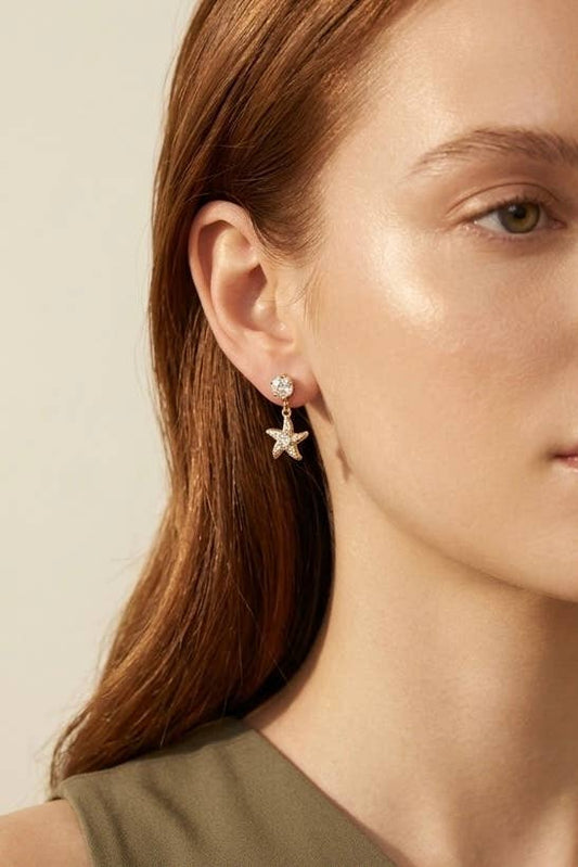 Boucles d'oreille en acier inoxydable 124AQ709