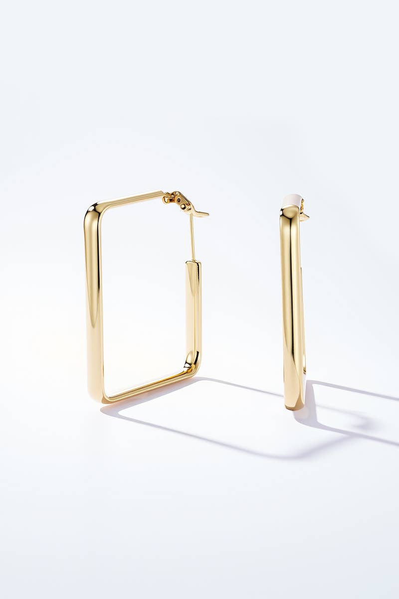 Stainless steel earrings 124AQ581