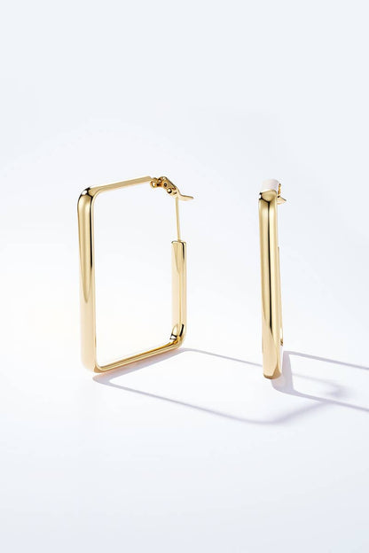 Stainless steel earrings 124AQ581