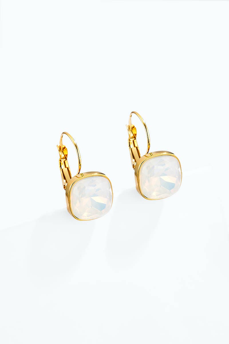 Stainless steel earrings 124AQ718