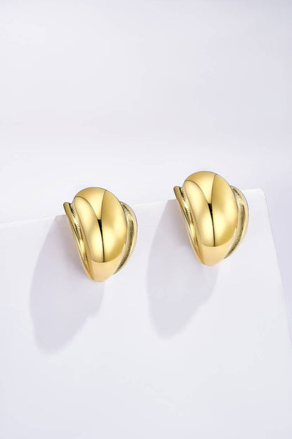 Stainless steel earrings 124AQ513