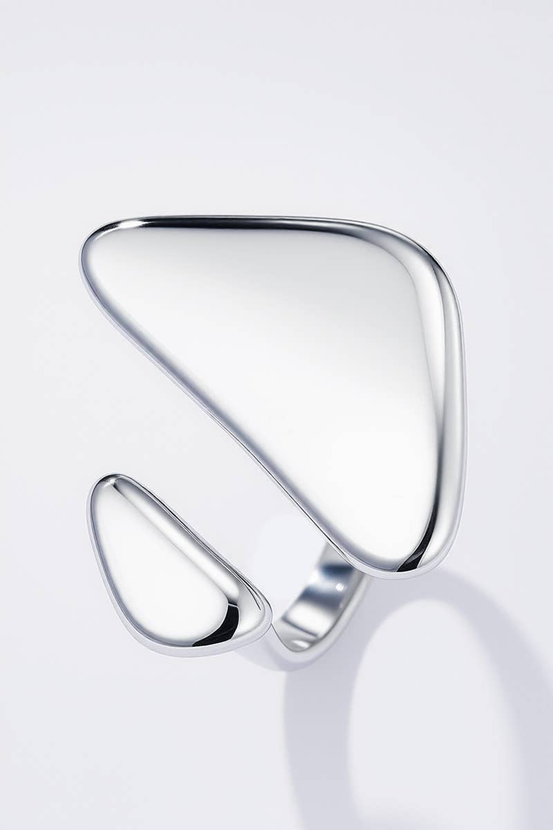 424AQ251 Stainless steel ring