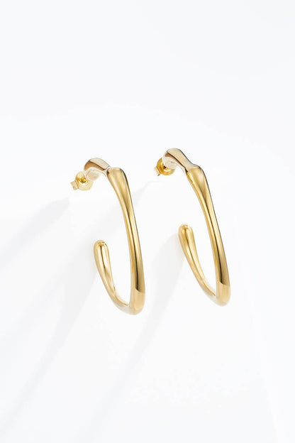 Stainless steel earrings 124AQ560