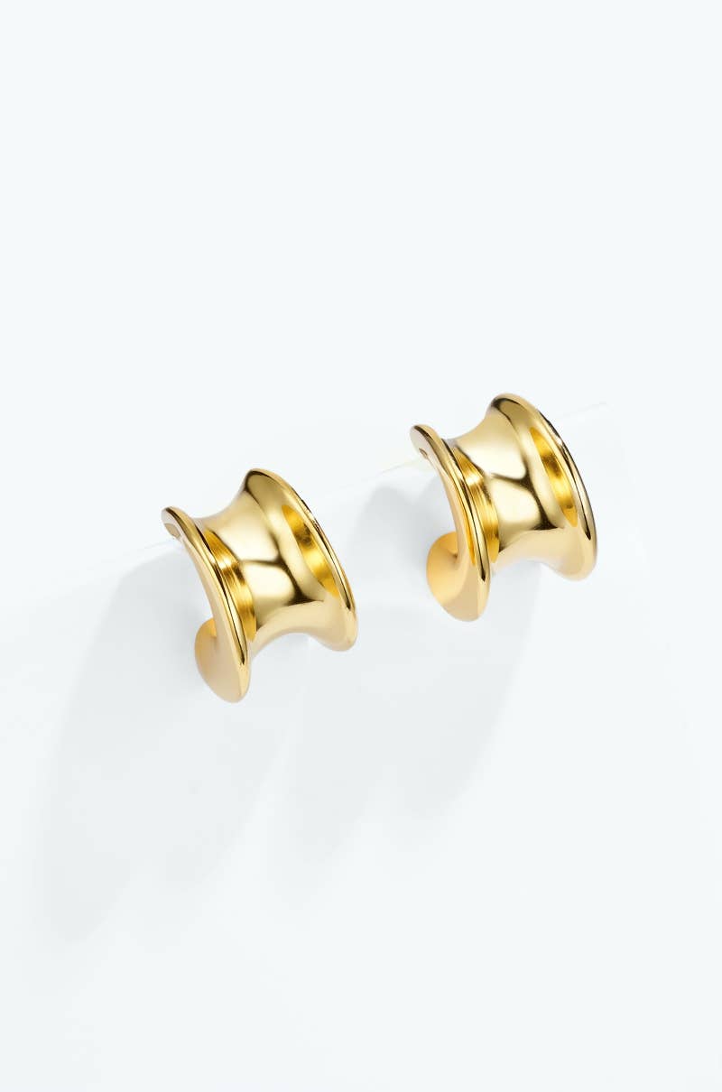 Stainless steel earrings 124AQ722