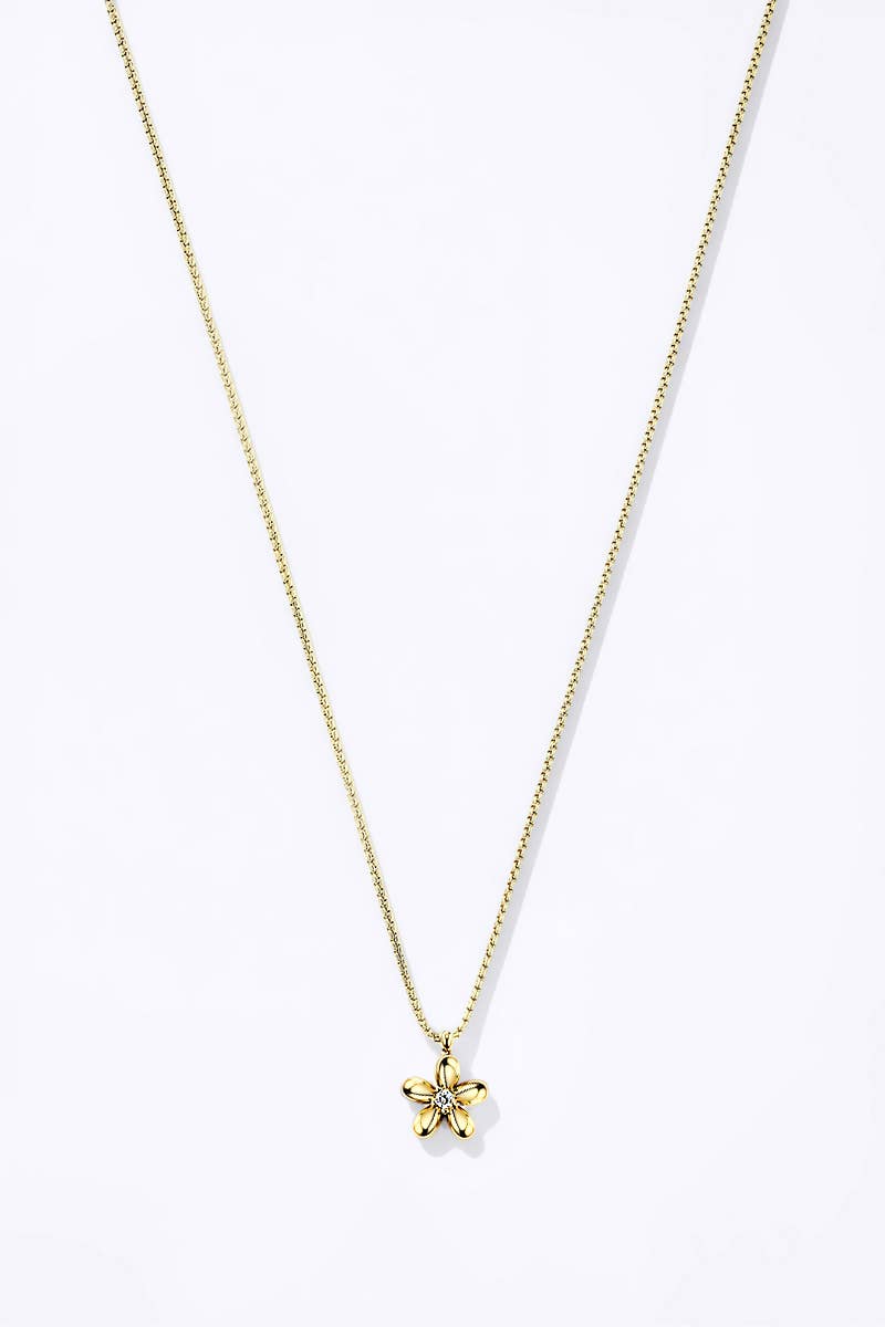 Stainless steel necklace 224AQ111
