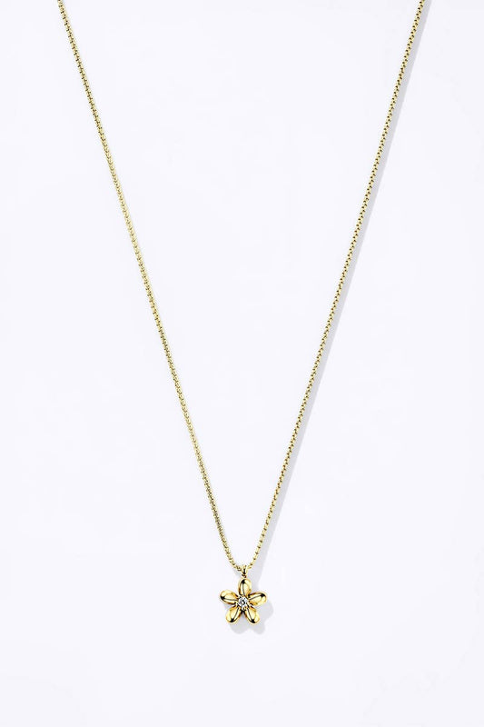 Collier en acier inoxydable 224AQ111