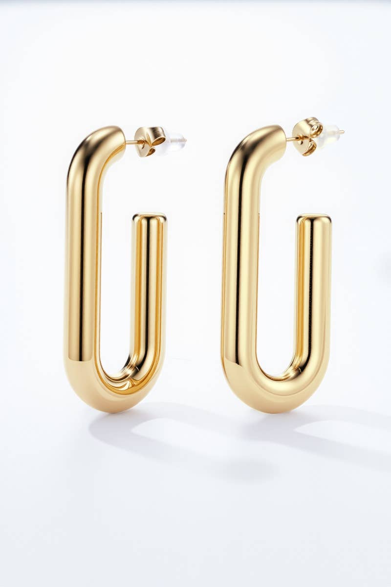 124RX117 stainless steel earrings