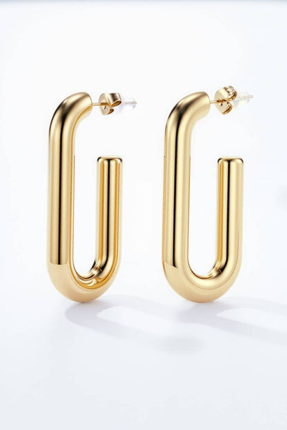 124RX117 stainless steel earrings
