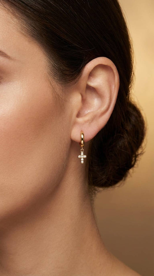Boucles d'oreille en acier inoxydable 124AQ555