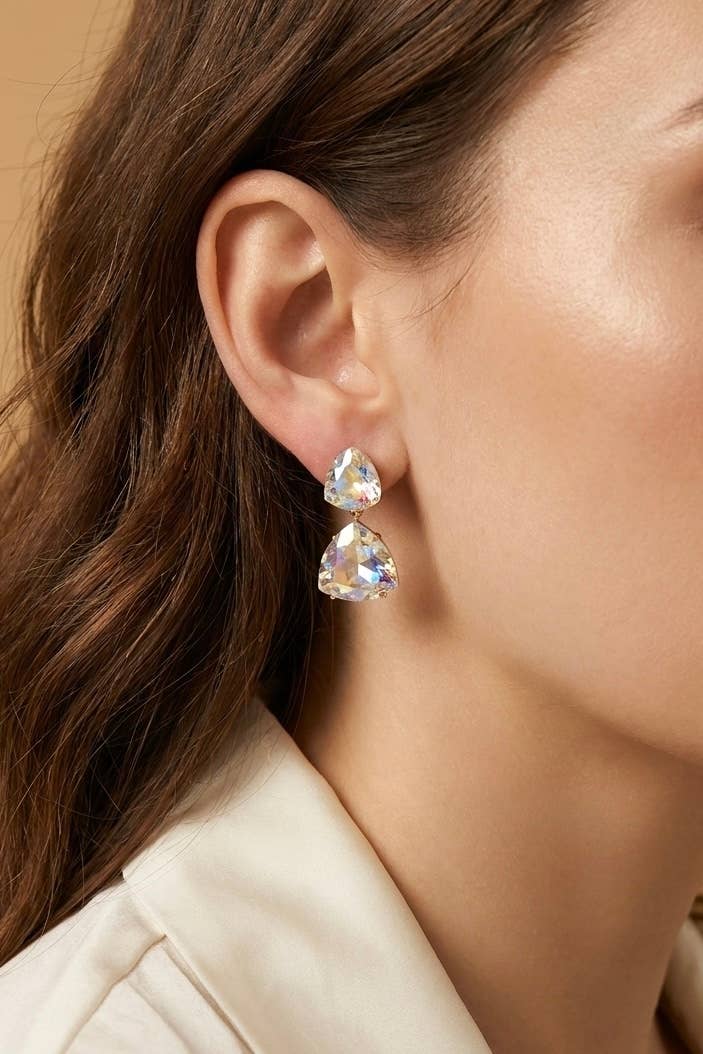 Stainless steel earrings 124AQ589
