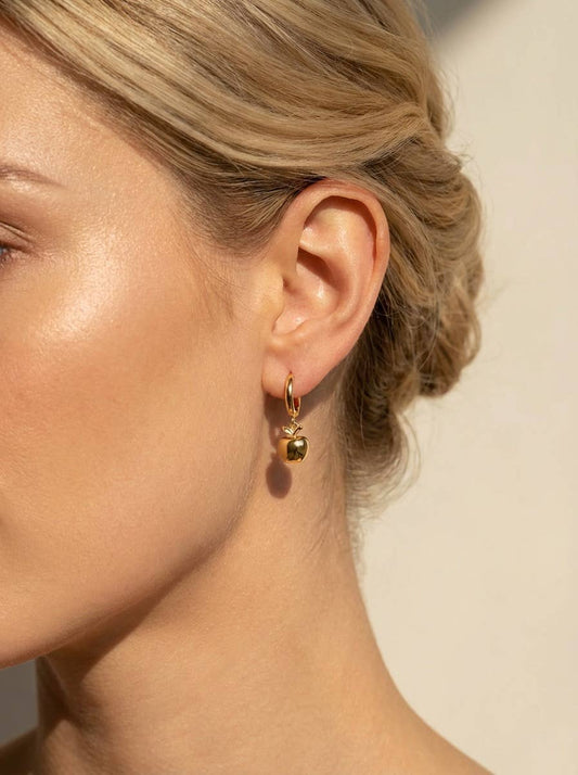 Stainless steel earrings 124AQ590