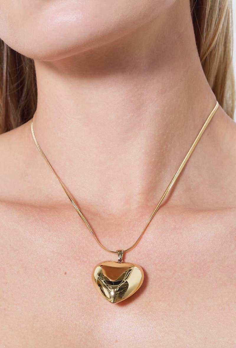 Collier en acier inoxydable 224AQ66