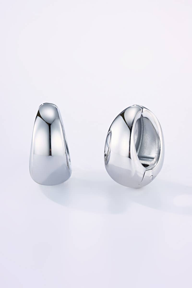 Stainless steel clip-on earrings 124AQ356