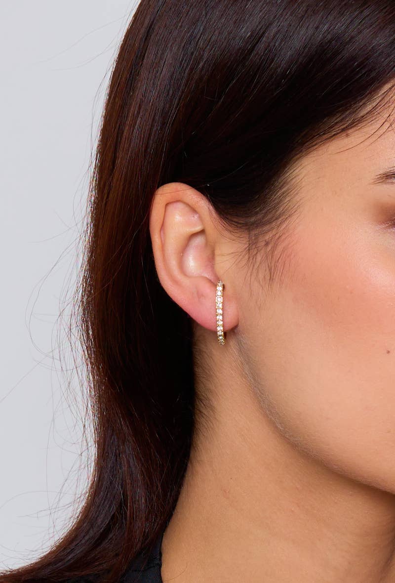 Stainless steel rhinestone earrings 124AQ132