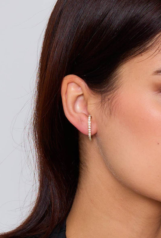 Stainless steel rhinestone earrings 124AQ132