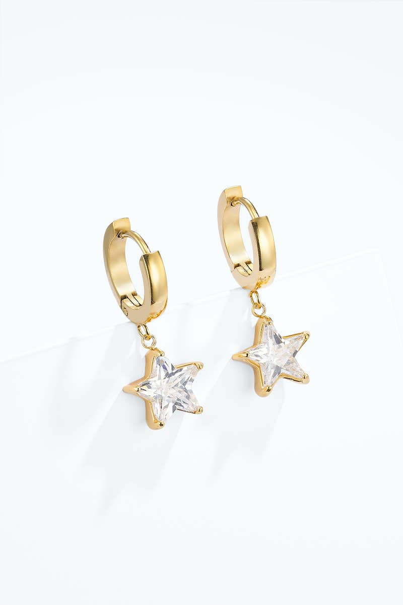 Stainless steel earrings 124AQ667