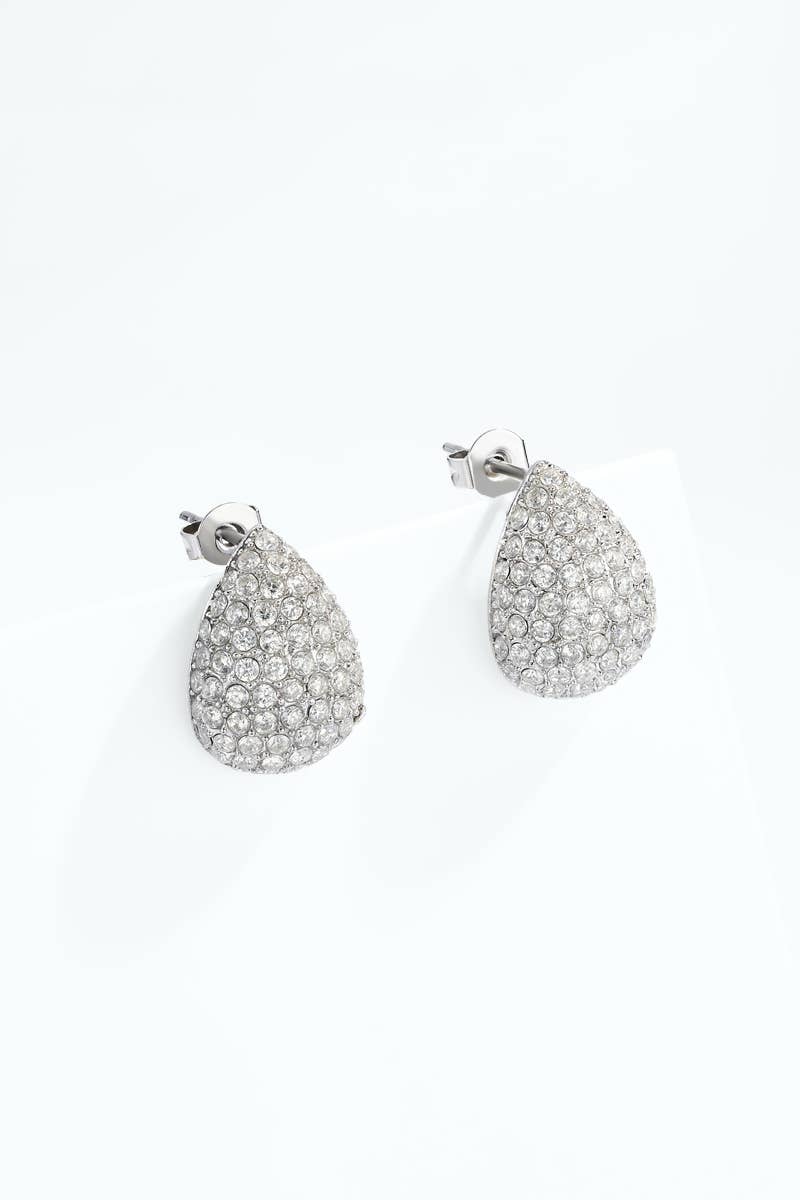 Stainless steel earrings 124AQ679