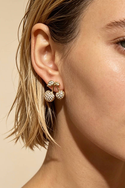 Stainless steel earrings 124AQ692
